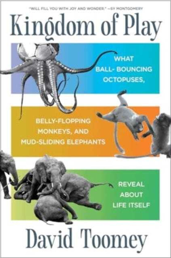 Kingdom of Play What Ballbouncing Octopuses, Bellyflopping Monkeys, and Mudsliding Elephants Reveal about Life Itself