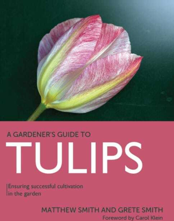 Tulips Ensuring Successful Cultivation in the Garden