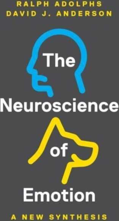 The Neuroscience of Emotion A New Synthesis