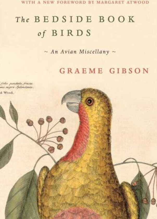 The Bedside Book of Birds An Avian Miscellany
