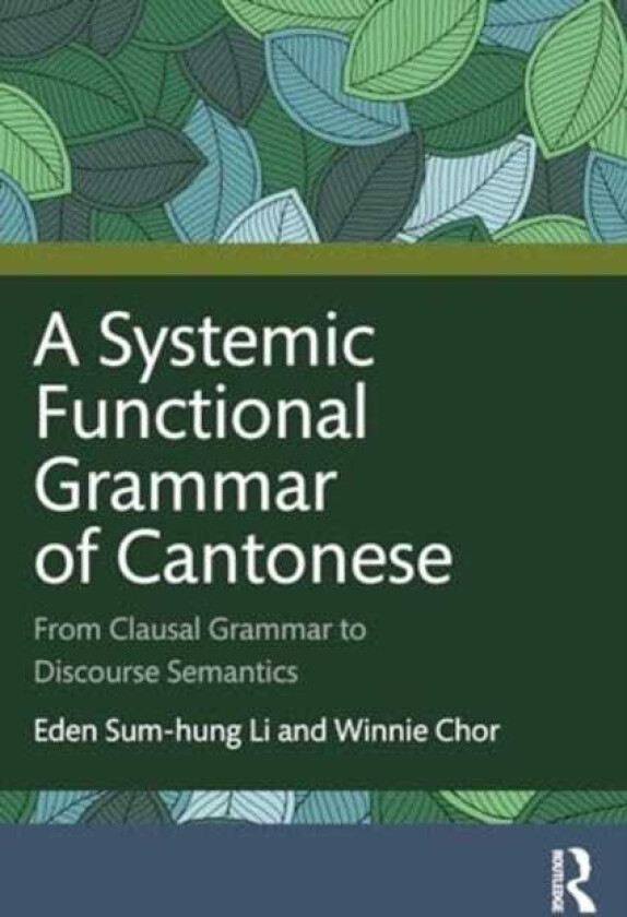 A Systemic Functional Grammar of Cantonese From Clausal Grammar to Discourse Semantics