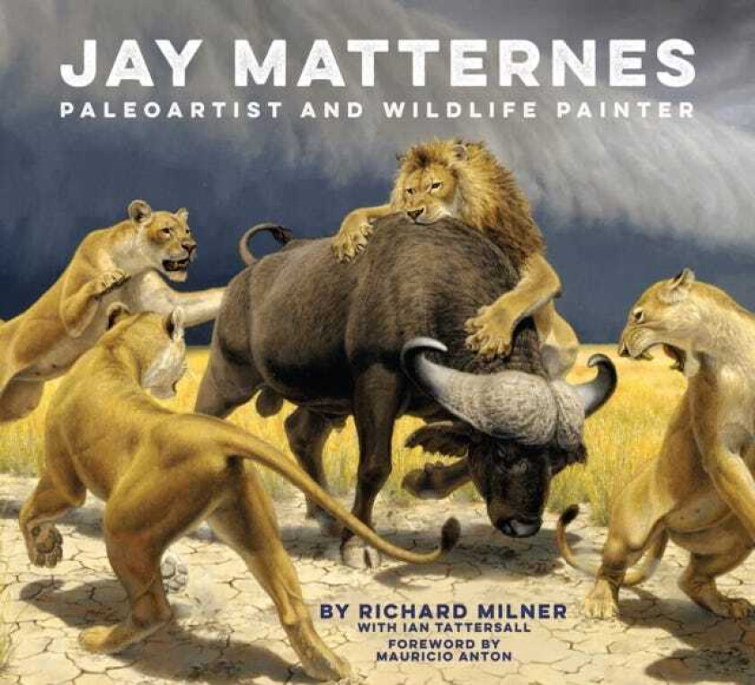 Jay Matternes  Paleoartist and Wildlife Painter