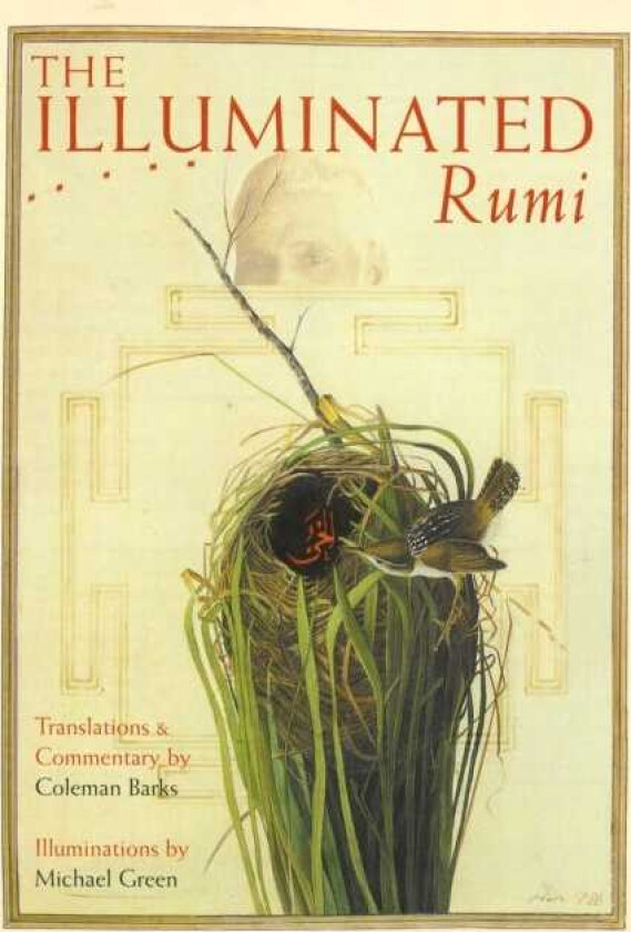 The Illuminated Rumi