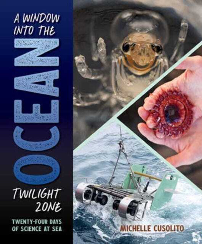 A Window into the Ocean Twilight Zone TwentyFour Days of Science at Sea