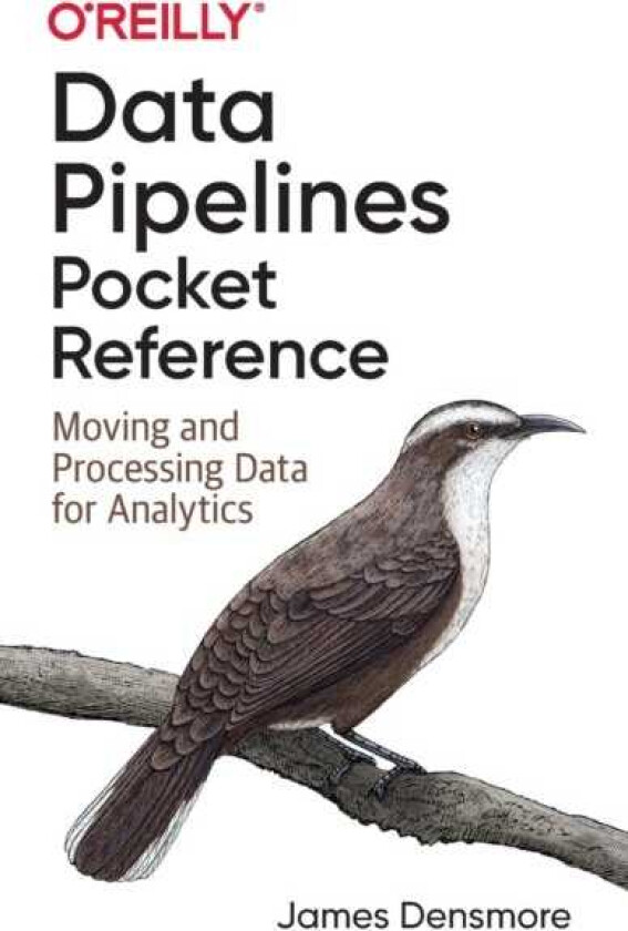 Data Pipelines Pocket Reference Moving and Processing Data for Analytics