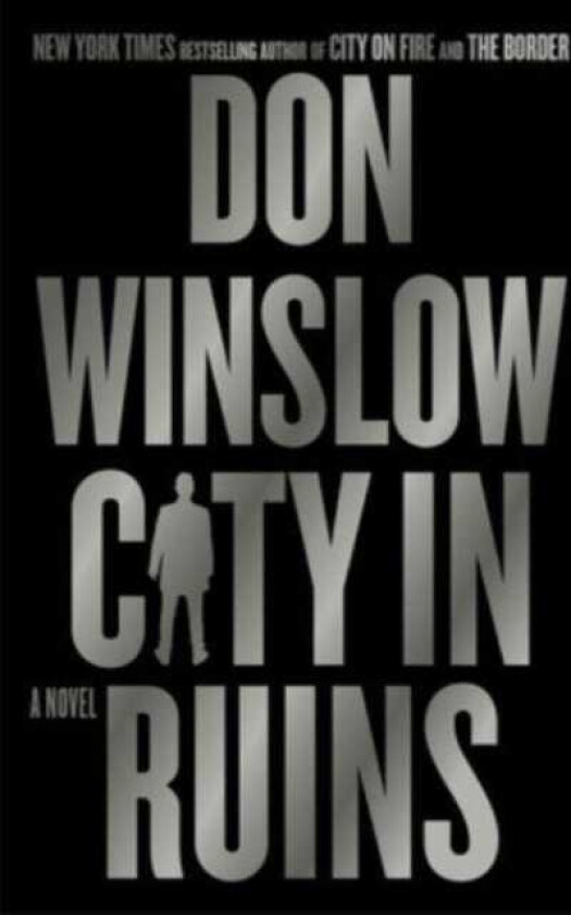 City in Ruins  A Novel