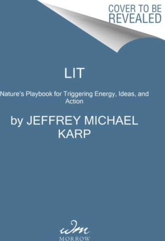 LIT: Life Ignition Tools Use Nature's Playbook to Energize Your Brain, Spark Ideas, and Ignite Action