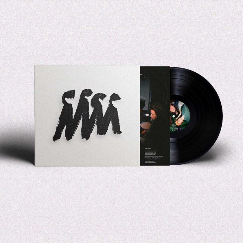 Astral Bakers The Whole Story LP/Vinyl