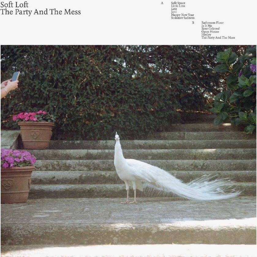 Soft Loft The Party And The Mess CD