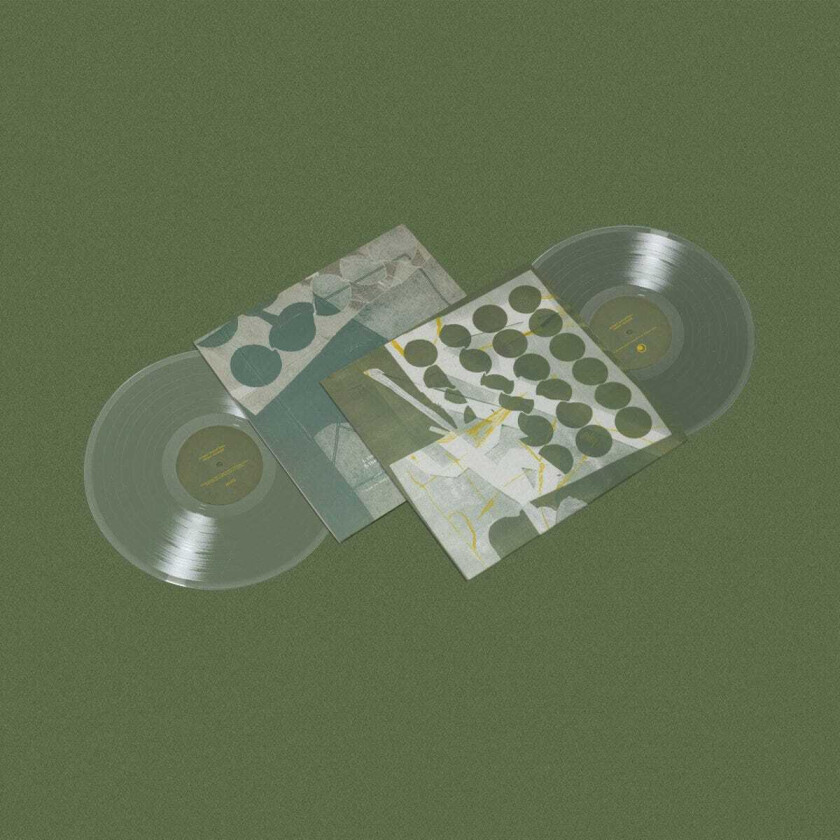 Zander Raymond To Have Several Lives LP/Vinyl