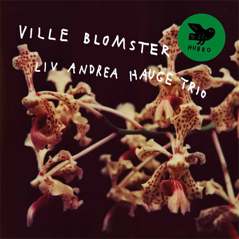 Liv Andrea Hauge Trio Ville Blomster CD