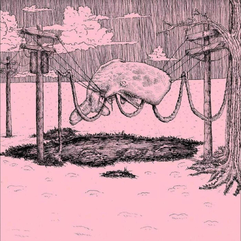 Home Is Where The Whaler LP/Vinyl