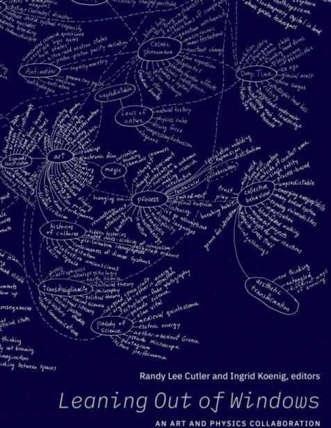 Leaning Out of Windows An Art and Physics Collaboration