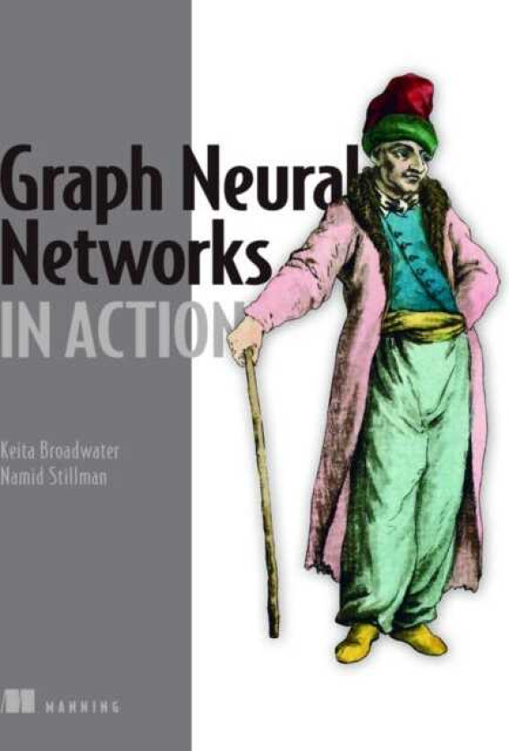 Graph Neural Networks in Action
