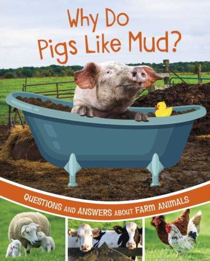 Why Do Pigs Like Mud? Questions and Answers About Farm Animals