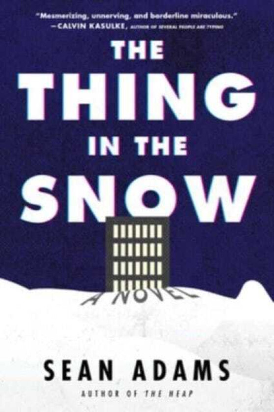 The Thing in the Snow A Novel