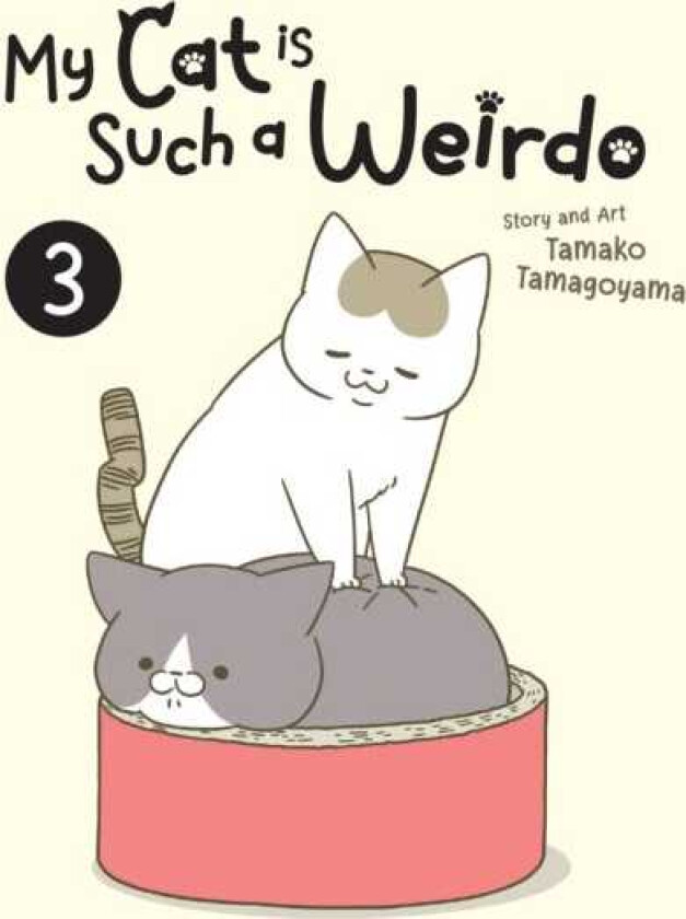 My Cat is Such a Weirdo Vol. 3