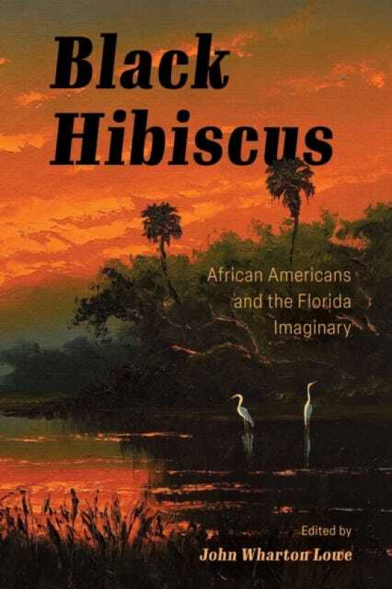 Black Hibiscus African Americans and the Florida Imaginary