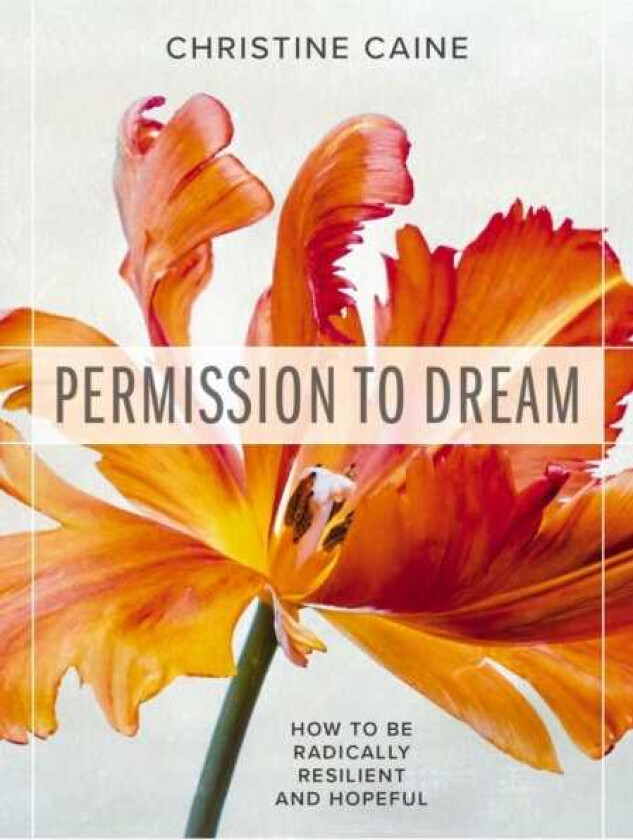 Permission to Dream How to be Radically Resilient and Hopeful
