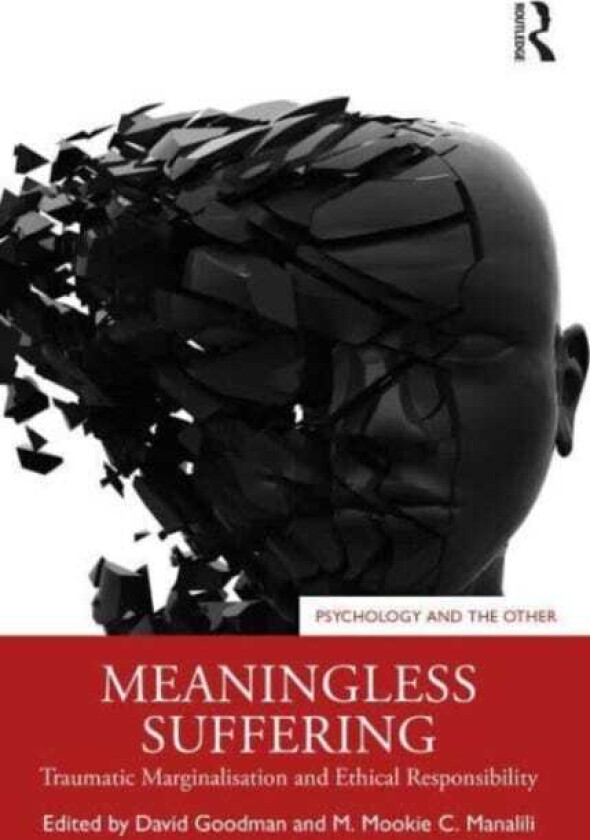 Meaningless Suffering Traumatic Marginalisation and Ethical Responsibility