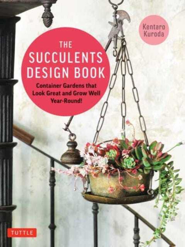 The Succulents Design Book Container Combinations That Look Great and Thrive Together YearRound