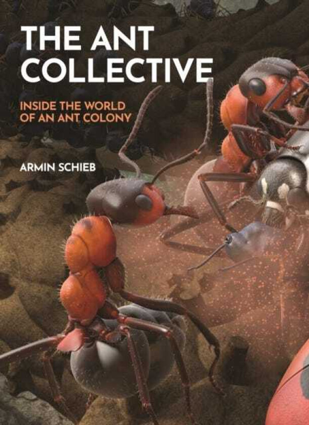 The Ant Collective Inside the World of an Ant Colony