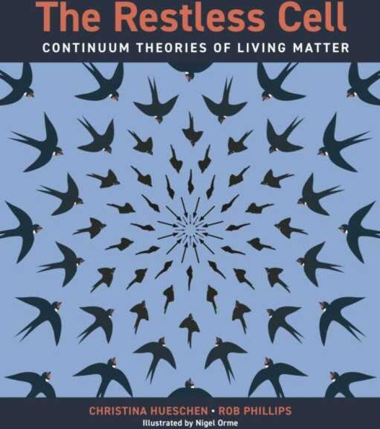 The Restless Cell Continuum Theories of Living Matter