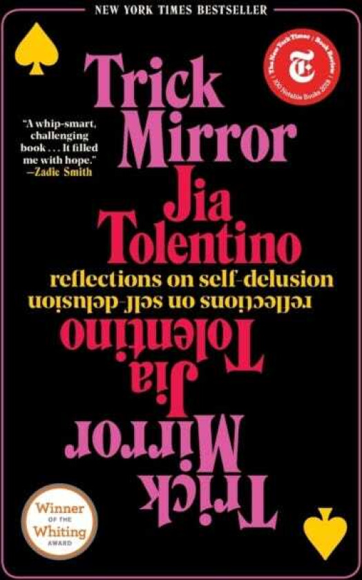Trick Mirror Reflections on SelfDelusion