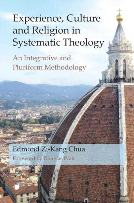 Experience, Culture and Religion in Systematic Theology An Integrative and Pluriform Methodology