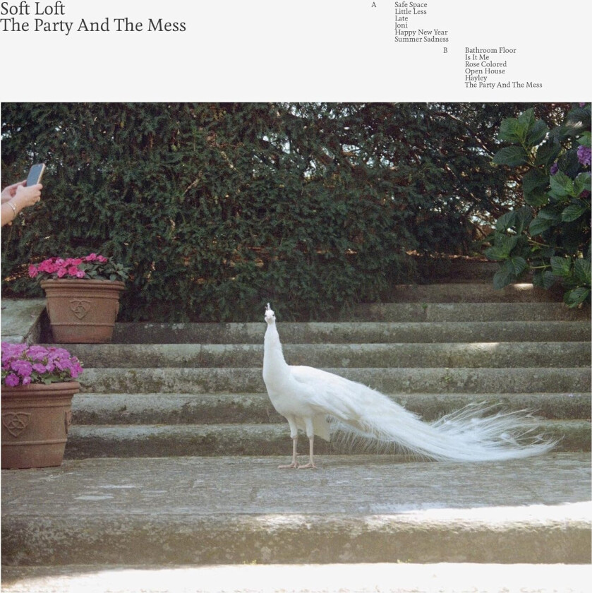 Soft Loft The Party And The Mess LP/Vinyl