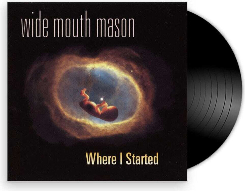 Wide Mouth Mason Where I Started LP/Vinyl