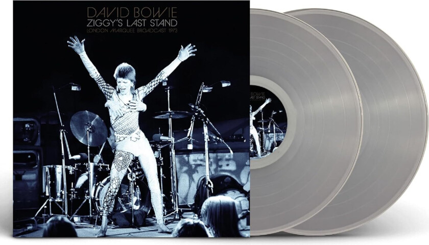 David Bowie Ziggy's Last Stand LP/Vinyl