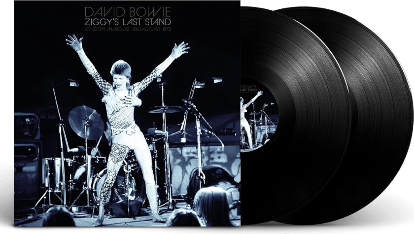 David Bowie Ziggy's Last Stand LP/Vinyl