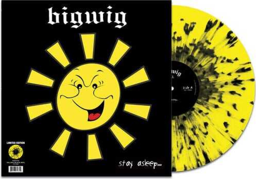 Bigwig Stay Asleep LP/Vinyl
