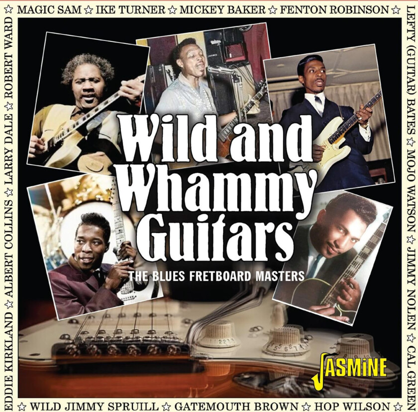 Diverse Blues Wild And Whammy Guitars The Blues Fretboard Masters CD