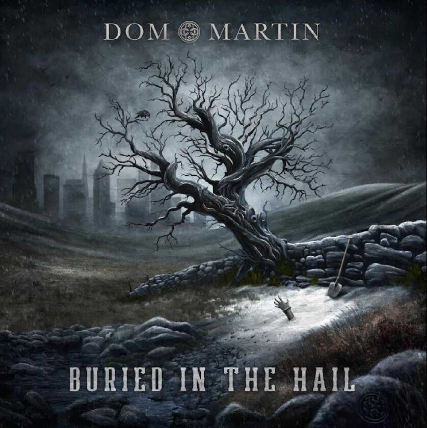 Dom Martin Buried In The Hail LP/Vinyl