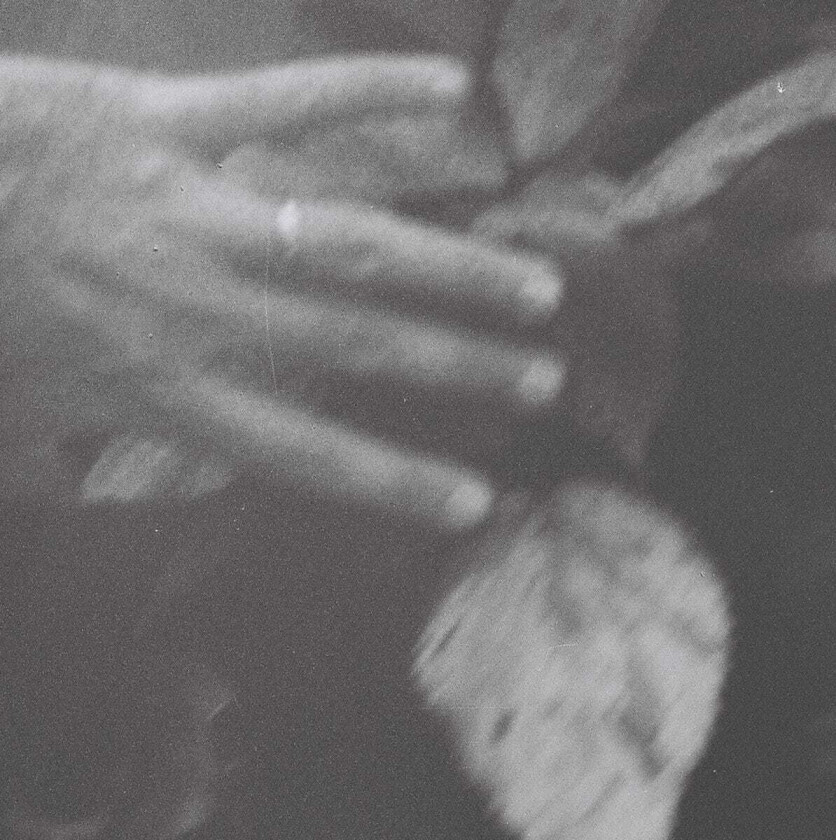 Troth Idle Easel EP LP/Vinyl