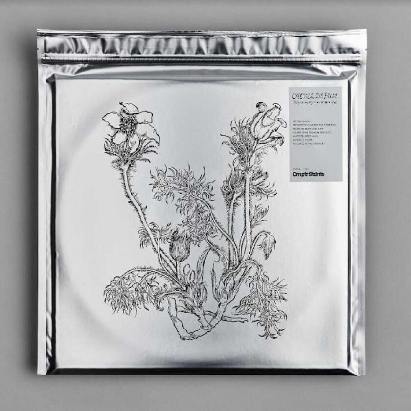 Cheval De Frise Fresques Sur Les Parois Secrètes Du Crâne LP/Vinyl