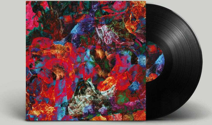 San Leo Aves Raras LP/Vinyl