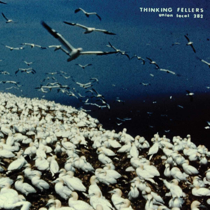 Thinking Fellers Union Local 282 These Things Remain Unassigned (Singles, Compilation Tracks, Rarities & Unreleased Recordings) LP/Vinyl