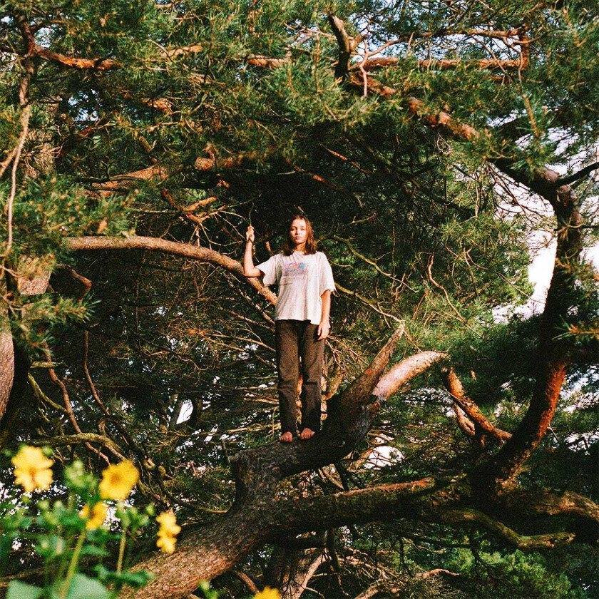 Packs Melt The Honey LP/Vinyl