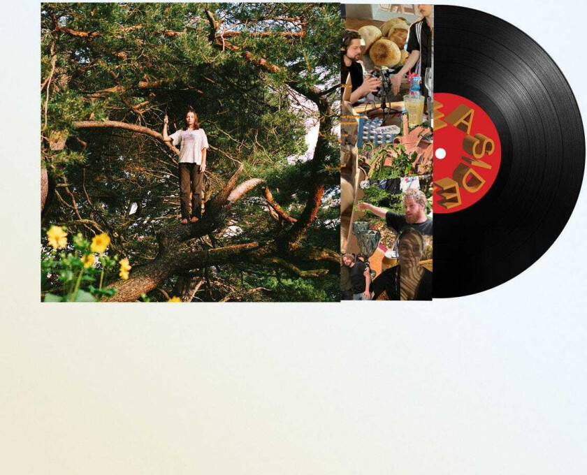 Packs Melt The Honey LP/Vinyl