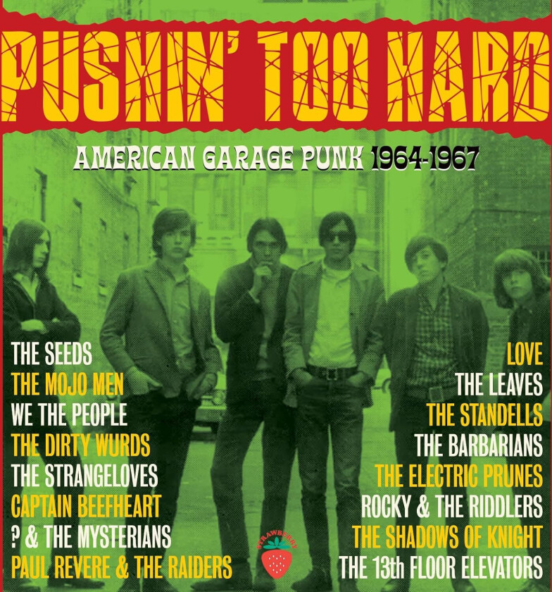 Diverse Rock Pushin' Too Hard American Garage Punk 19641967 CD