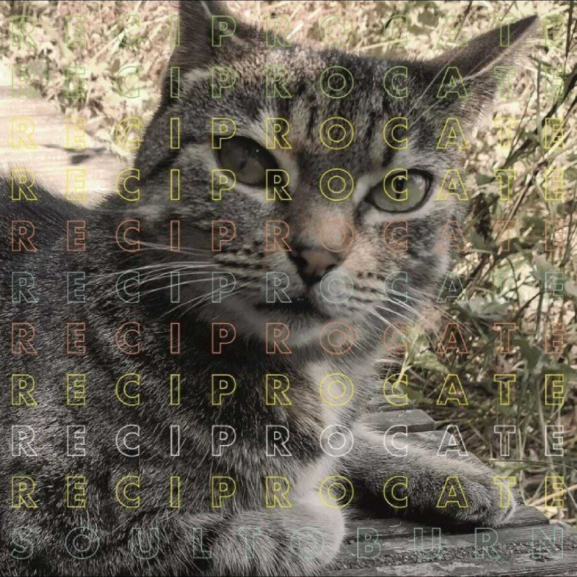 Reciprocate Soul To Burn LP/Vinyl