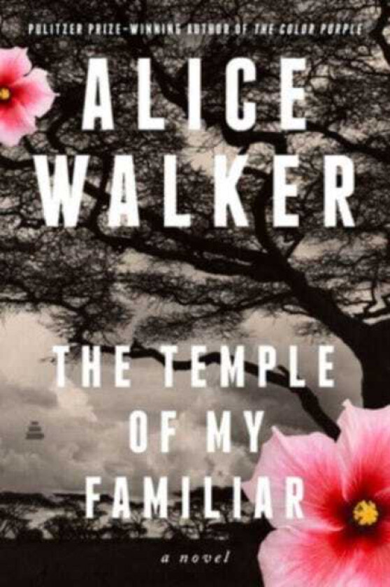 The Temple of My Familiar A Novel