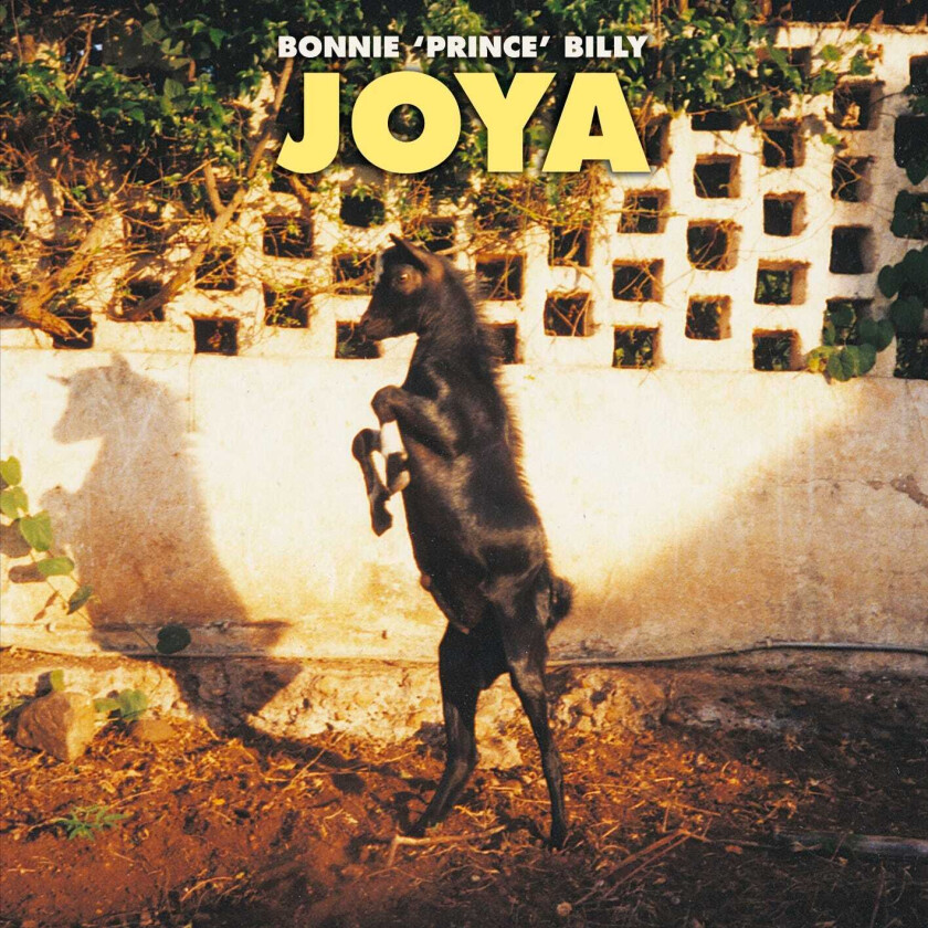 Will Oldham, Bonnie Prince Billy Joya LP/Vinyl