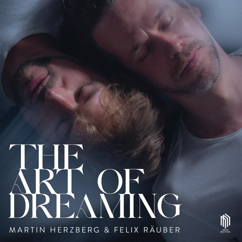 Martin Herzberg, Felix Räuber Herzberg & Rauber: The Art of Dreaming LP/Vinyl