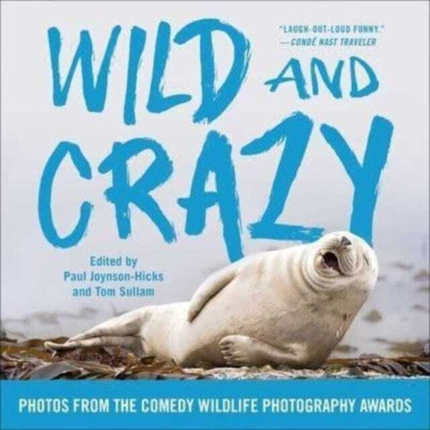 Wild and Crazy  Photos from the Comedy Wildlife Photography Awards