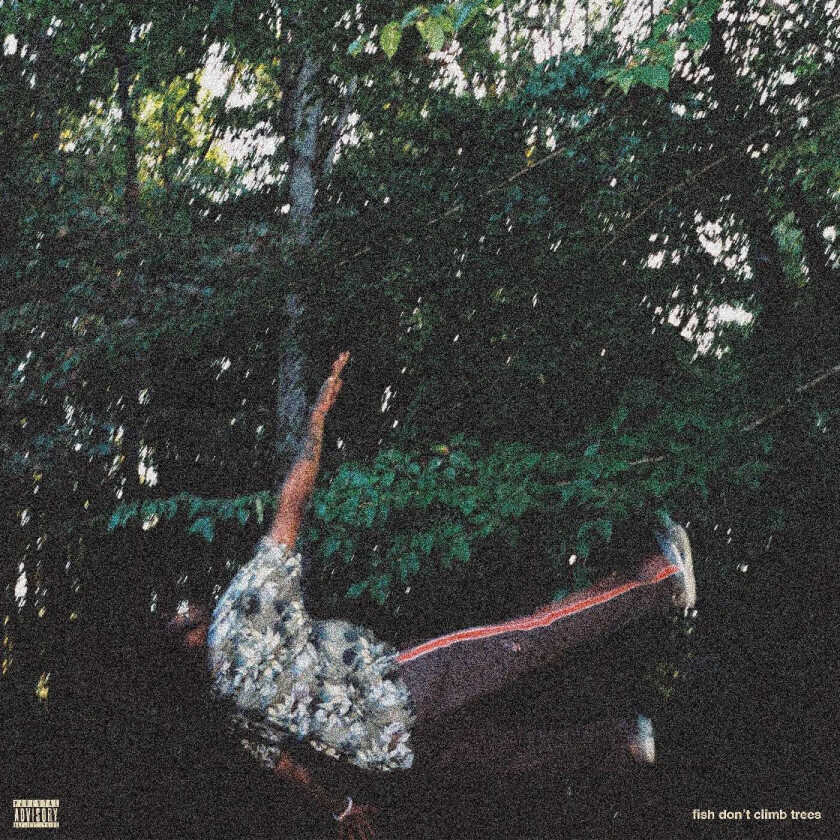 Chester Watson fish don't climb trees LP/Vinyl