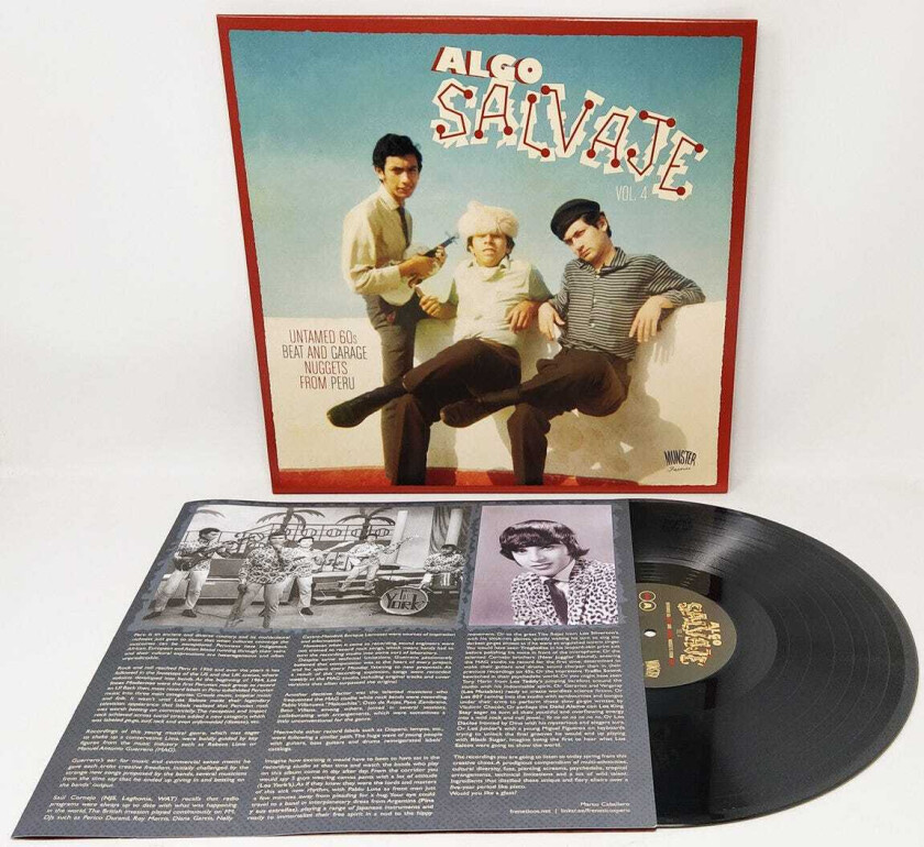 Diverse Rock Algo Salvaje Vol. 4 LP/Vinyl